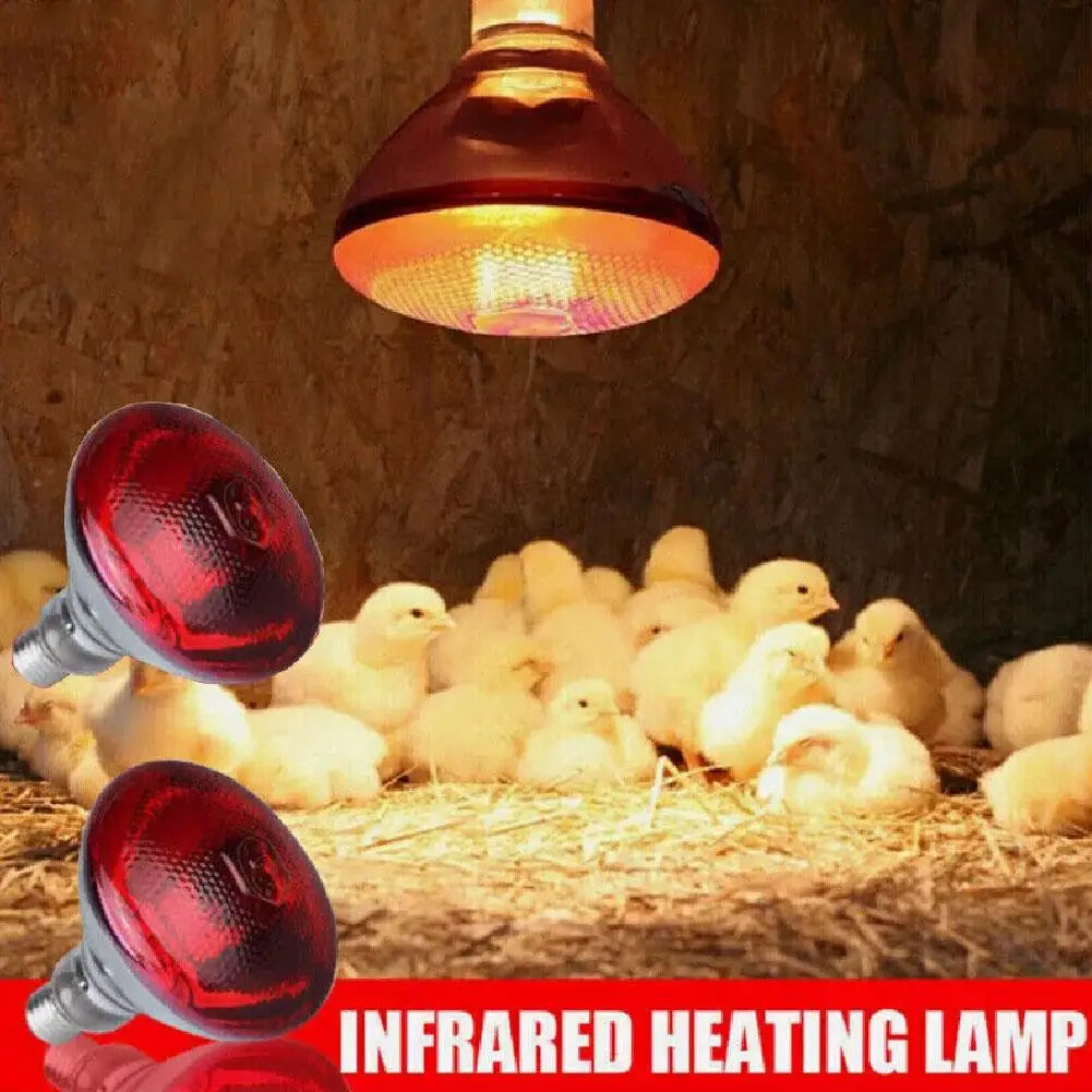 Red Heat Bulb Lamp Heat Preservation Lamp Breeding Heating Lamp Infrared Waterproof Thickening Baking Lamp For Chicks Piglets