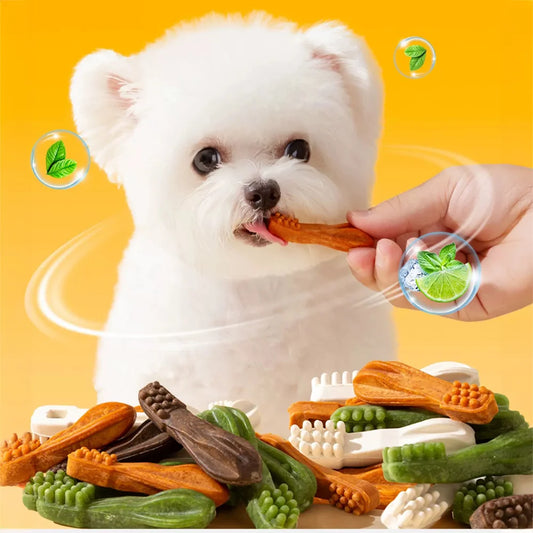 7.05oz/14.11oz  (200g/400g) Dental Care with Chicken Flavor, Natural Ingredients, Natural Dog Treats,