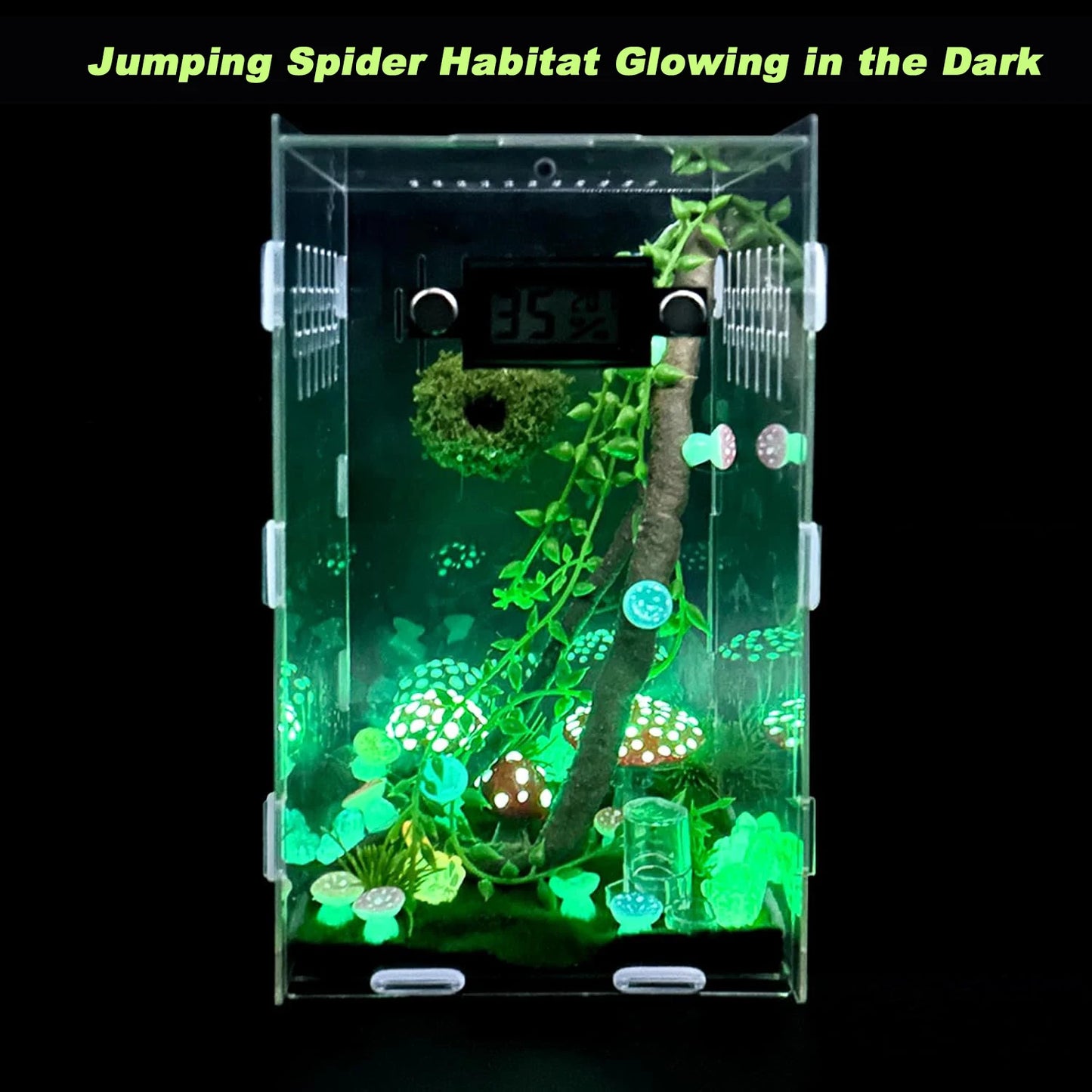 Jumping Spider Enclosure DIY Jumping Spider Insects Habitat with Temperature and Humidity Detector Water Feeder Platform Hide