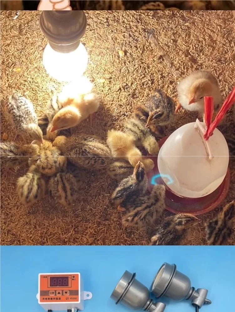 Intelligent Thermostat Heating Lamp Rutin Chicken Brooding Bird Warm Lamp Constant Temperature Breeding Special Heating Lamps