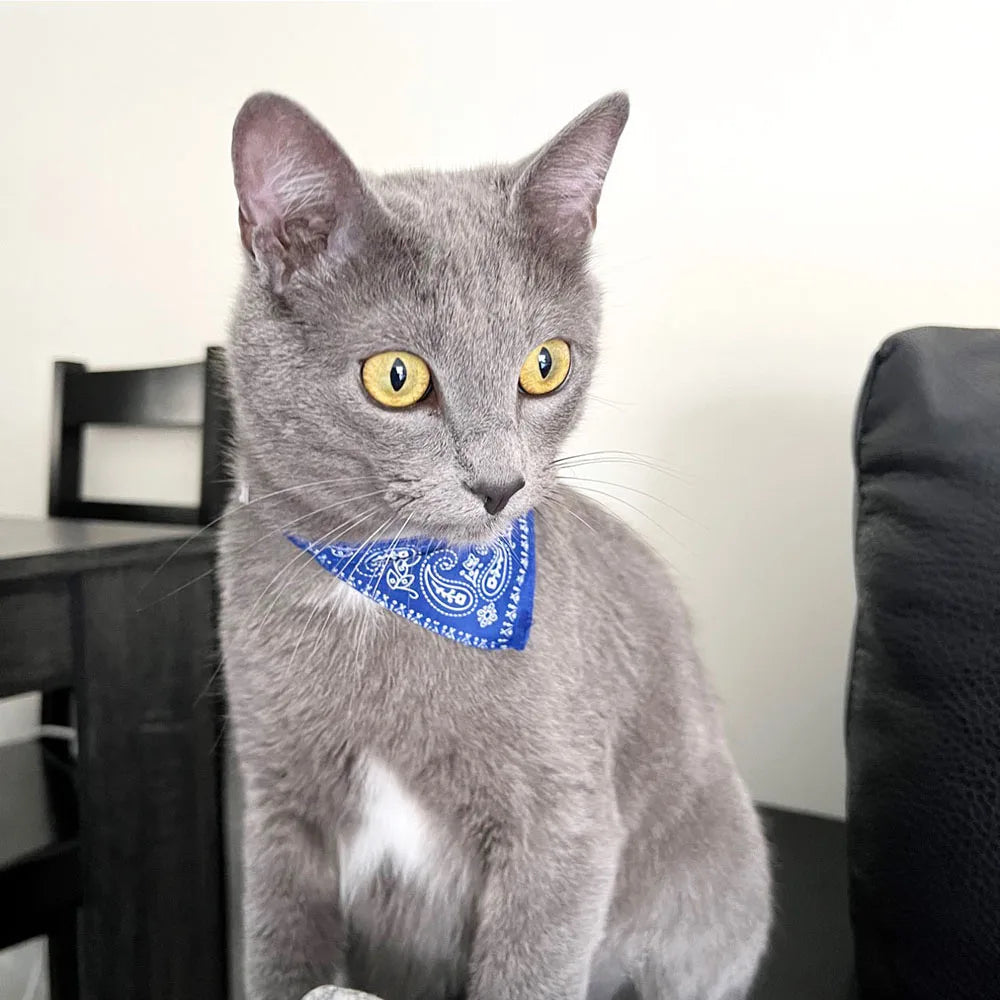 Cute Printed Bandana Cat Collar Puppy Dog Cat Scarf Collar Adjustable Triangular Pet Bandana Collar for Kittens Small Animals
