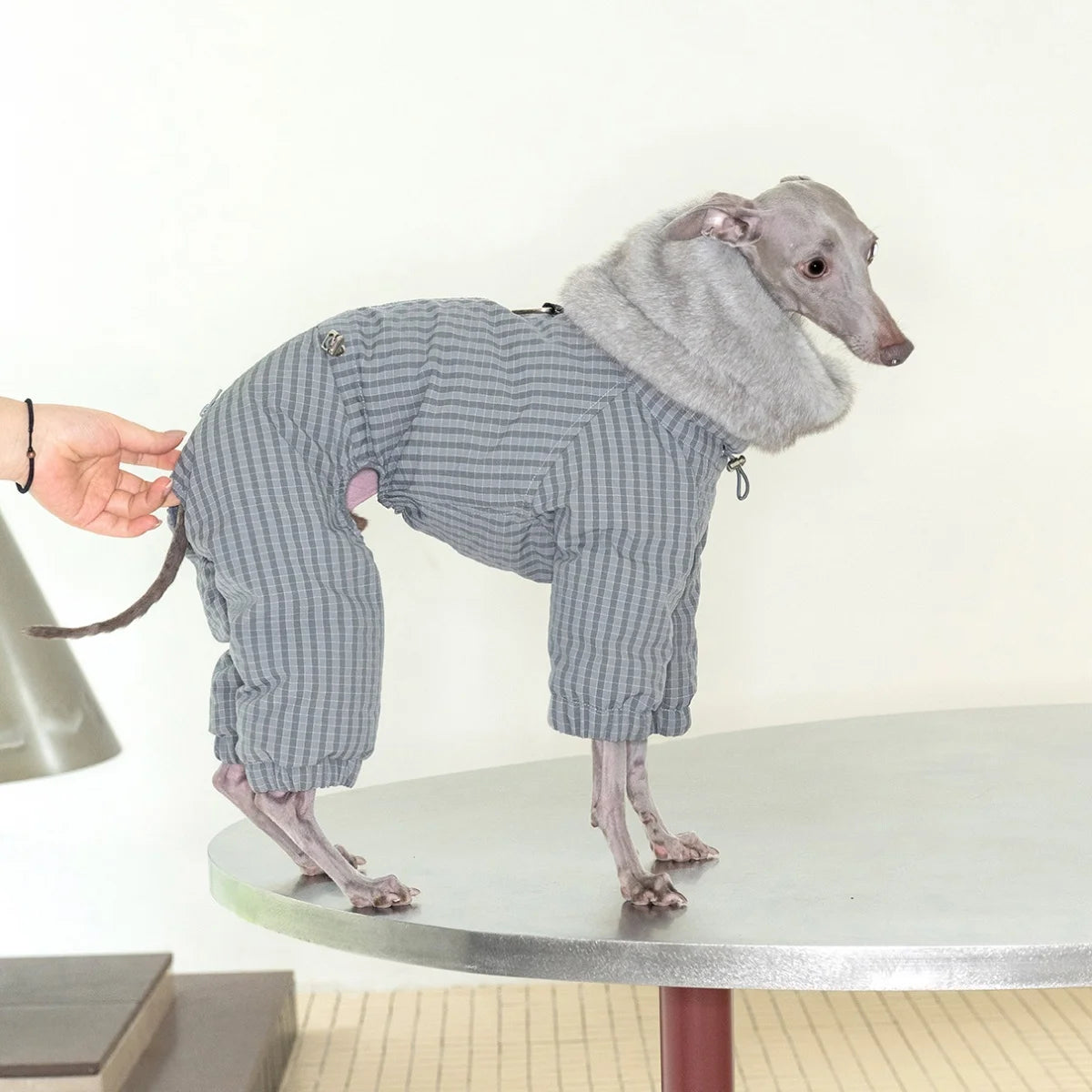 Thick Plaid Down Coat for Dogs in Winter Waterproof Windproof Grey Warm 4-leg Mink Fur Collar Puffer Jacket for Italy Greyhound