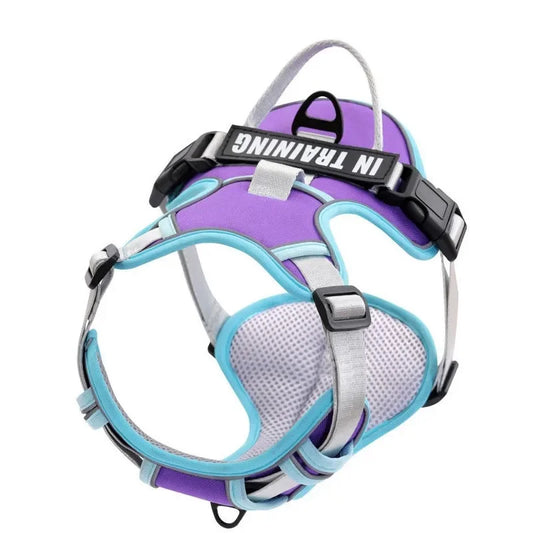 Nylon Dog Harness Vest Reflective Dog Harness Personalized Breathable Adjustable Pet Harness Leash For Small Medium Large Dogs