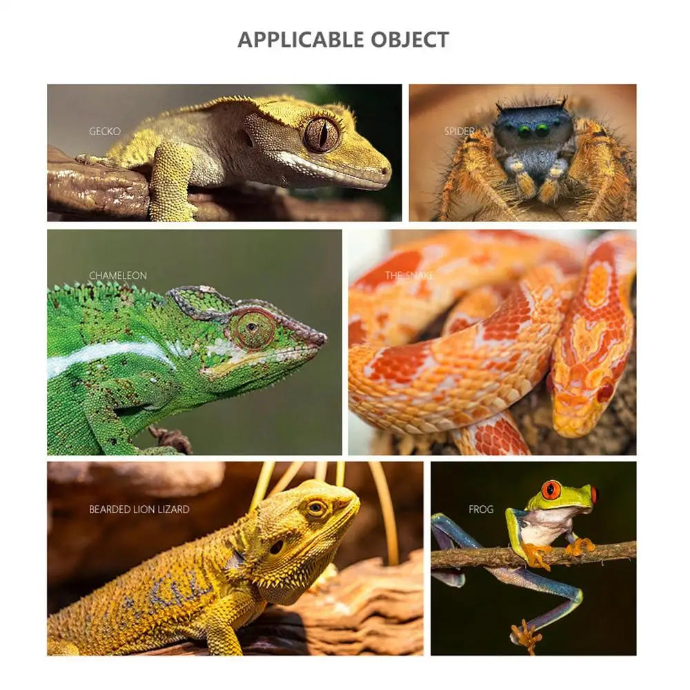 Snake Climbing Branch Resin Wood Reptile Climbing Decoration Branch Aquarium And Terrarium Decoration Climbing Rope Rack