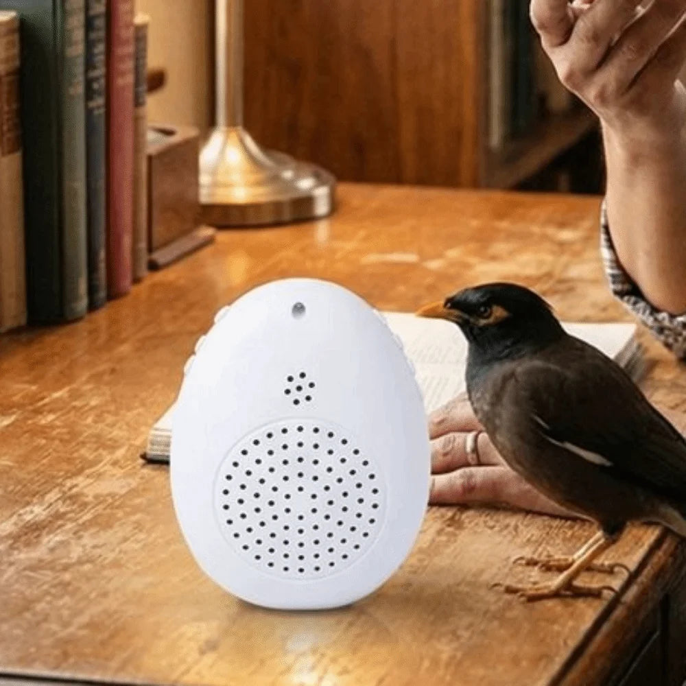 Recording Bird Learning Machine Interactive Timer-Controlled Speech Training Machine Playback Multi Segment Audio Source
