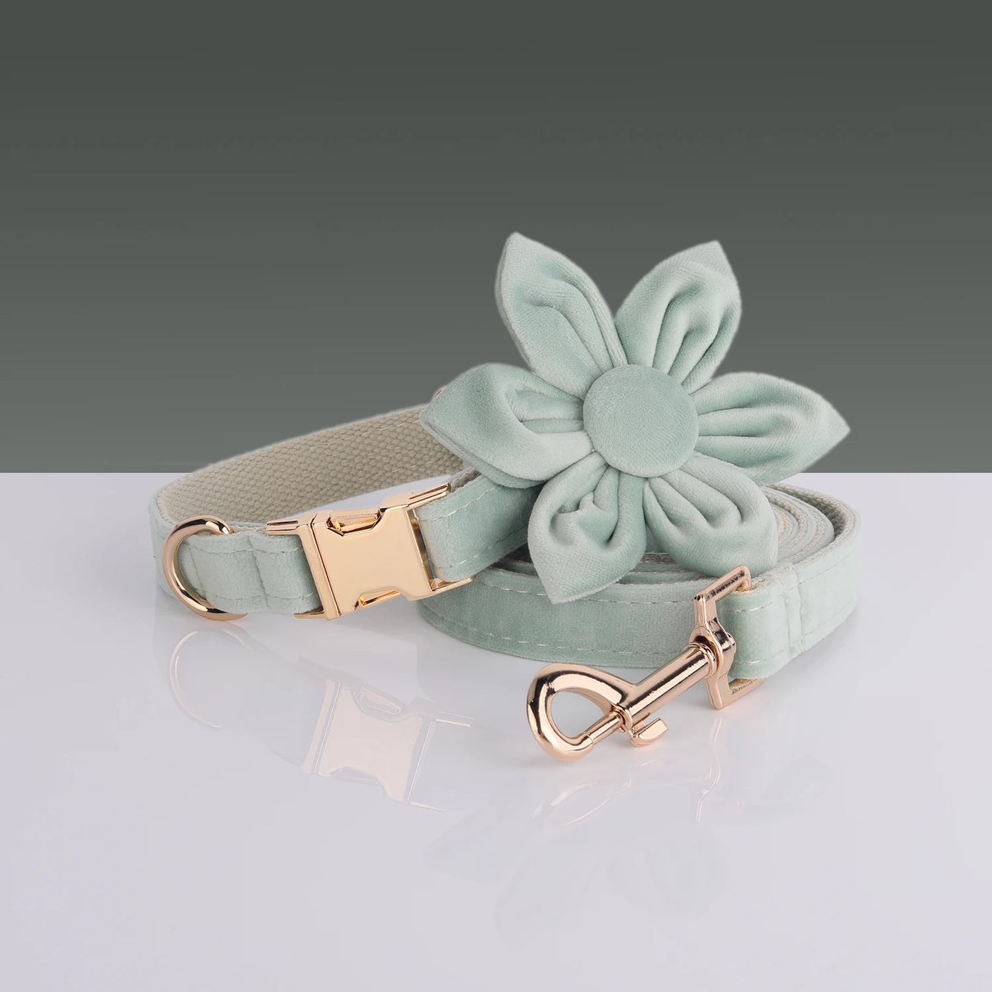 Green Tea Velvet Free Custom Dog Harness Soft Luxury Designer Dog Collar for Small Dogs Personalized Bowtie Collar Lead Poop Bag