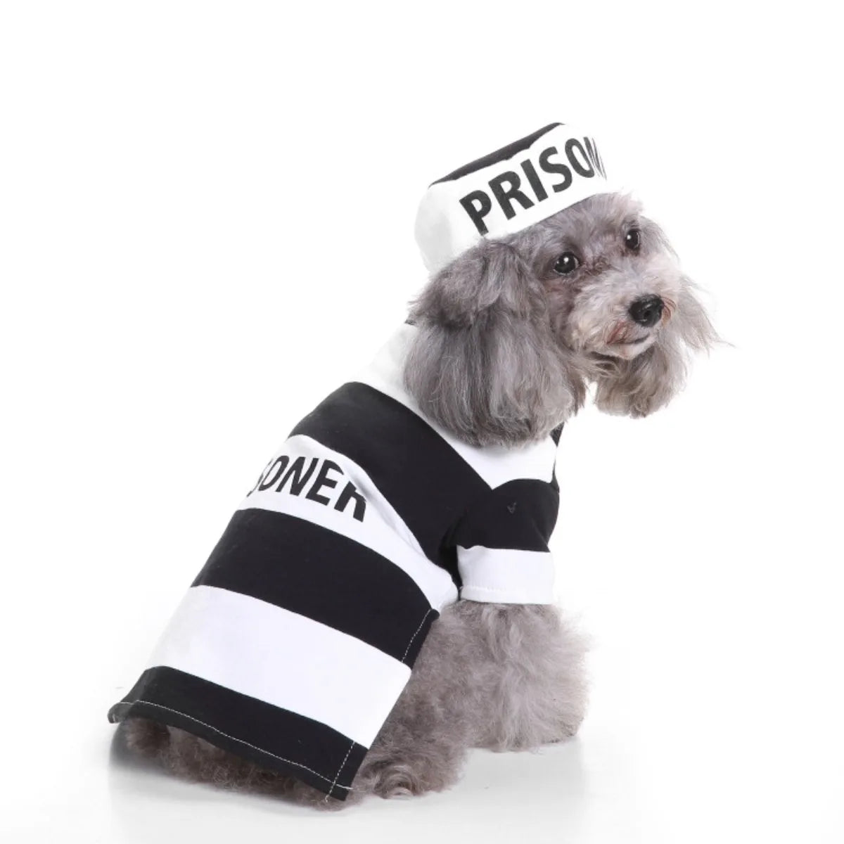 Pope Hat Costume for Cat/Dog Mini Craft Costume Good Feel and Elastic Comfortable and Durable Prisoner Garments are Washable