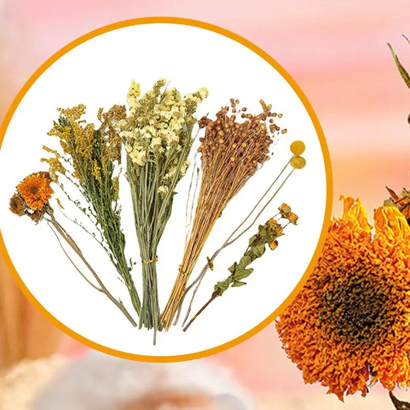 Flower Hamster Bedding Dried Flowers And Grass Hamster Cage Decoration Animal Deodorant Hamster Landscaping Supplies