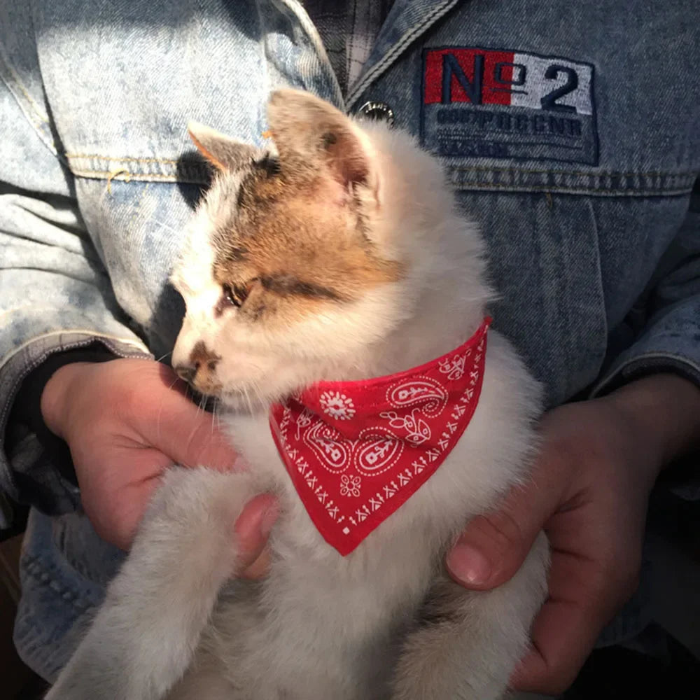 Cute Printed Bandana Cat Collar Puppy Dog Cat Scarf Collar Adjustable Triangular Pet Bandana Collar for Kittens Small Animals