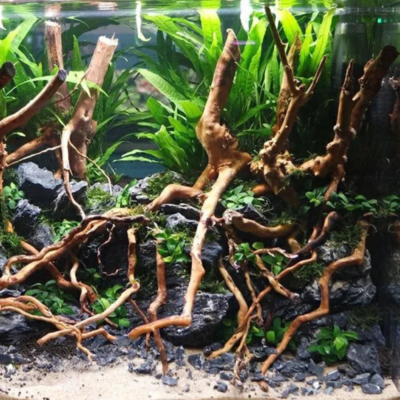 Aquarium Micro Landscape Natural Driftwood Root Trunk Tree