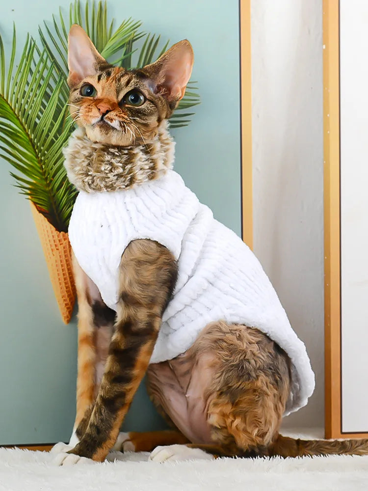 Devon Rex Thickening Plush Coat Cat Sweater Costume Sphinx Clothes Kitten Sphynx Pullover Clothing Products for Winter Outwear