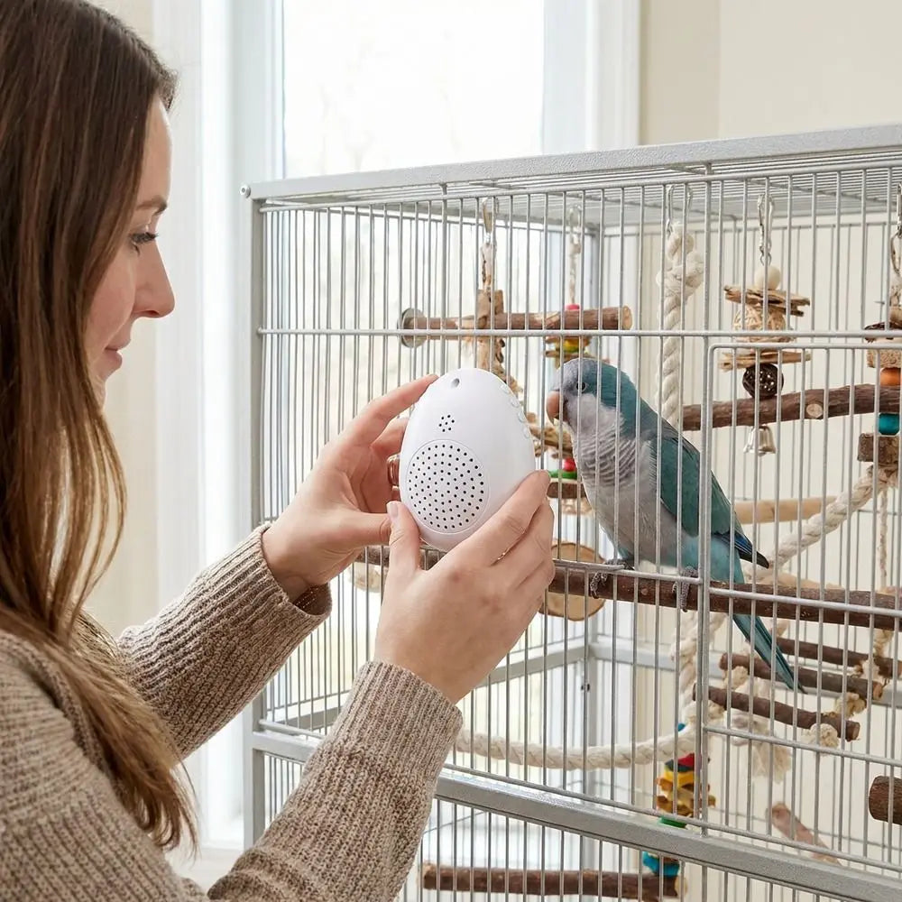Recording Bird Learning Machine Interactive Timer-Controlled Speech Training Machine Playback Multi Segment Audio Source