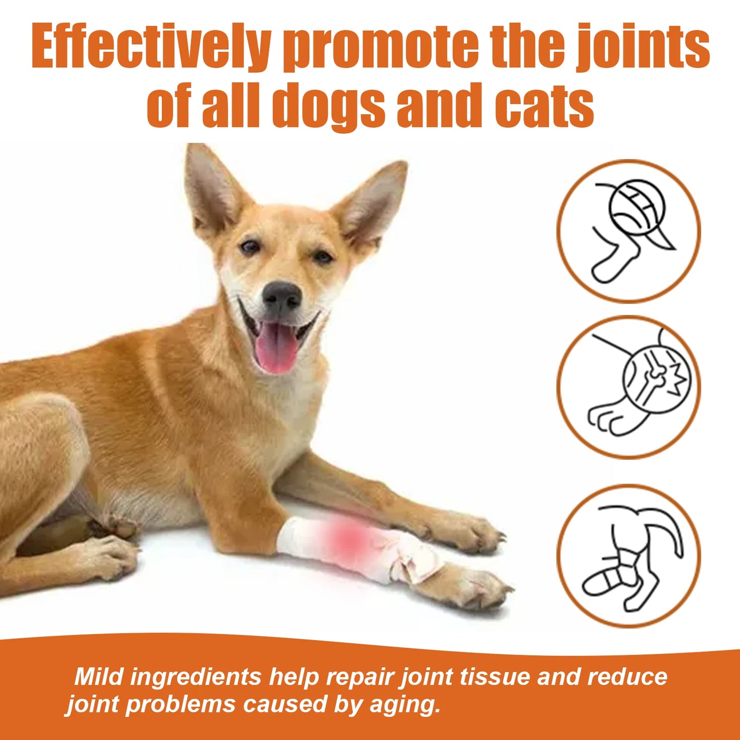 Pet Bee Venom Water Saving Cats Dogs To Relieve Leg Joint And Hip Pain Care Water-Contains Bee Venom Vitamin