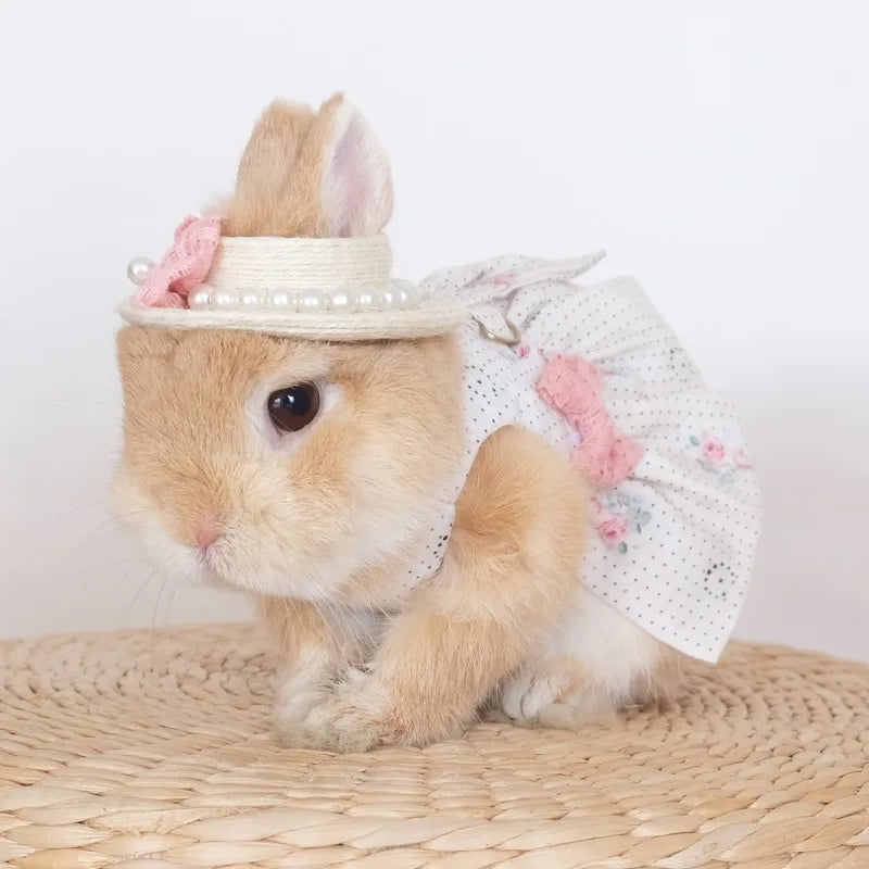 Fashion Rabbit Guinea Pigs Clothes Romantic Rose Princess Dress Set for Little Animals Bunny Chinchillas Suit Rabbit Supplies