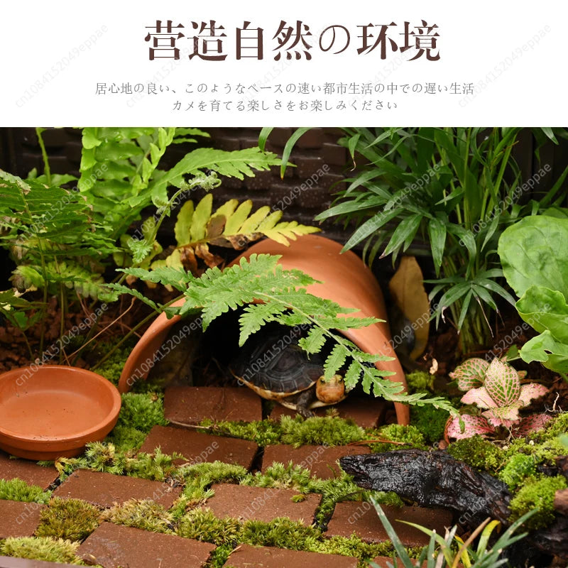Turtle special ecological landscaping breeding tank breeding box household raising yellow edge turtle large extra large amphibians