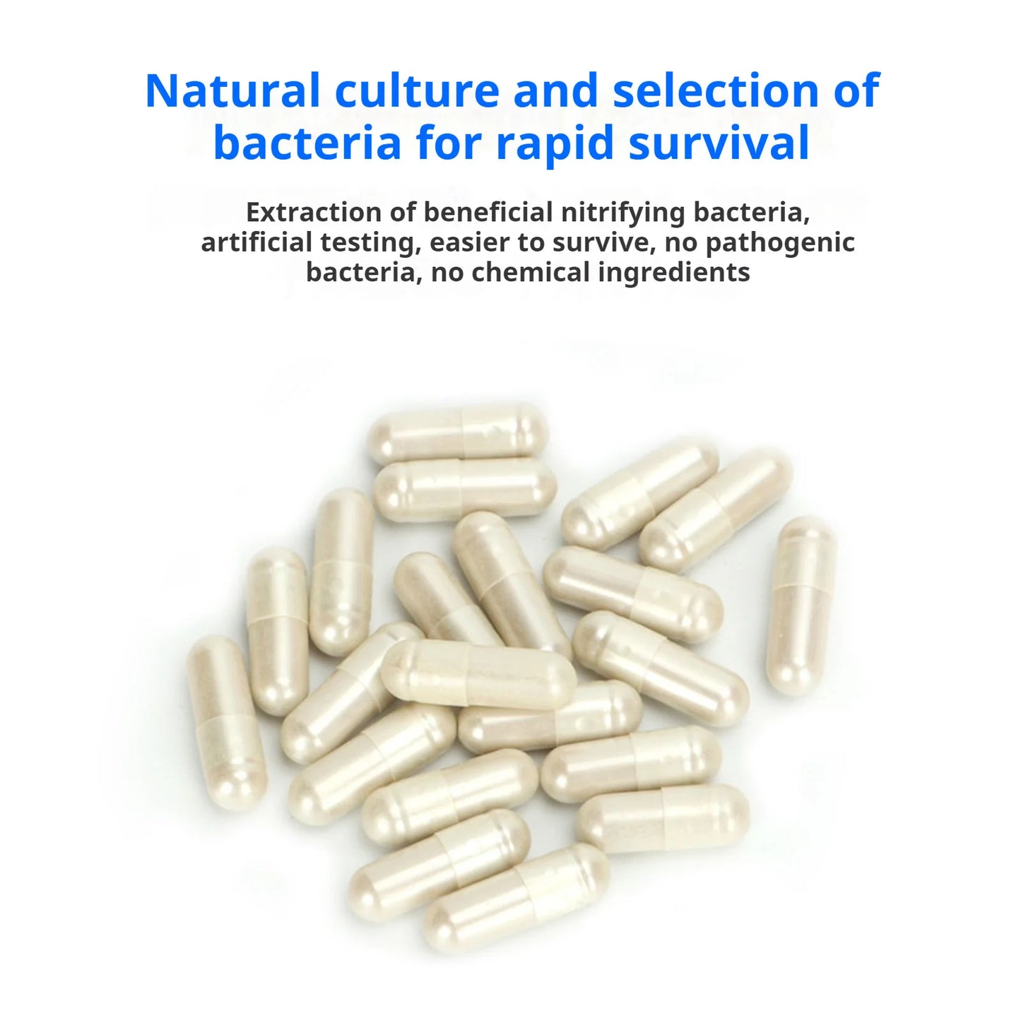 Aquarium Nitrifying Nitrobacteria Powder Aquarium Biological Filter Booster Powder for Fresh Water Concentrated