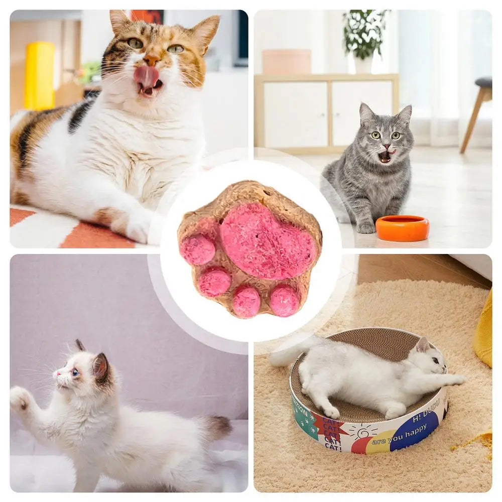 Paw Cat Treats Cat Snacks Cat Paw Biscuits Kitten Treats Healthy Cat Treats Dry Cat Treats Natural Cat Biscuits Cat Food Treats