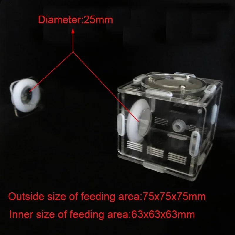 DIY Various Size Ant Farm Bamboo Tube Nest with Feeding Area Pet Anthill Workshop Queen Ant Breeding Nest Ant House Nest Bracket
