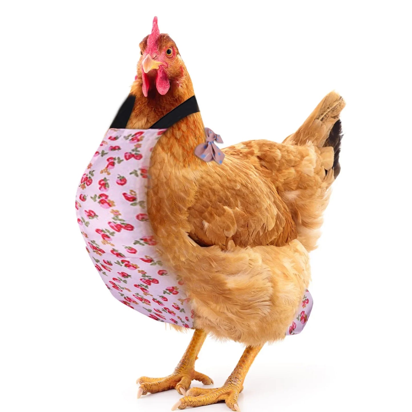 Pet Diapers Chicken Print Pattern Bow Clothes Pet Supplies Diapers Pet Accessories Bedding & Litter Accessories  Mascots