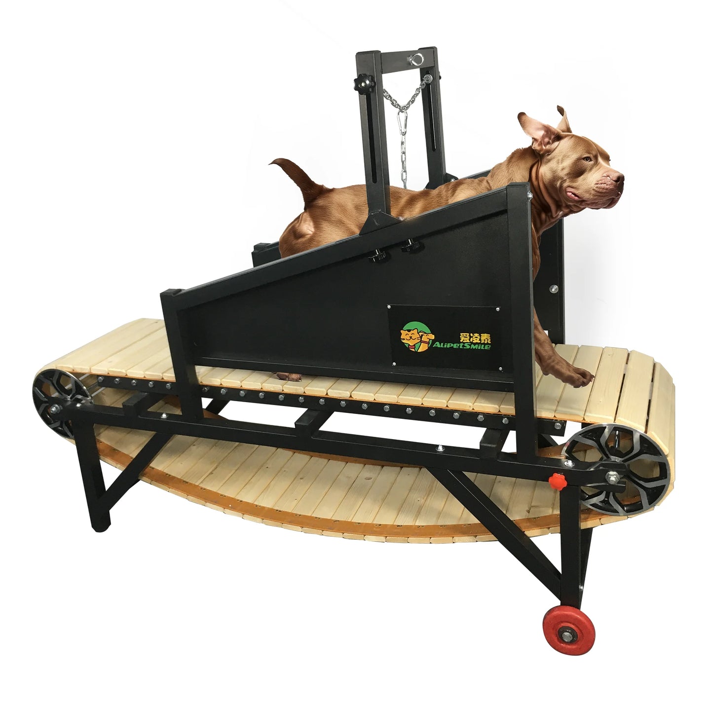 Best Quality Dog Treadmill for Large  Dogs USA  Drop Delivery