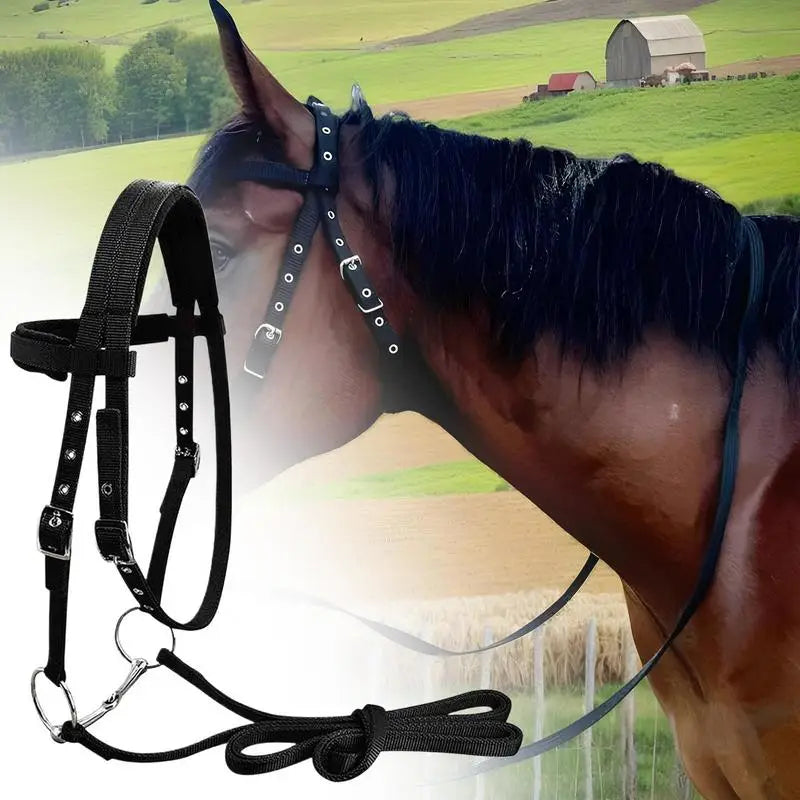 Horse Halter And Lead Rope Throat Latch For Horse Bridle With 3 Buckles Horse Head Headstall Lead Rope Horse Farm Must-have