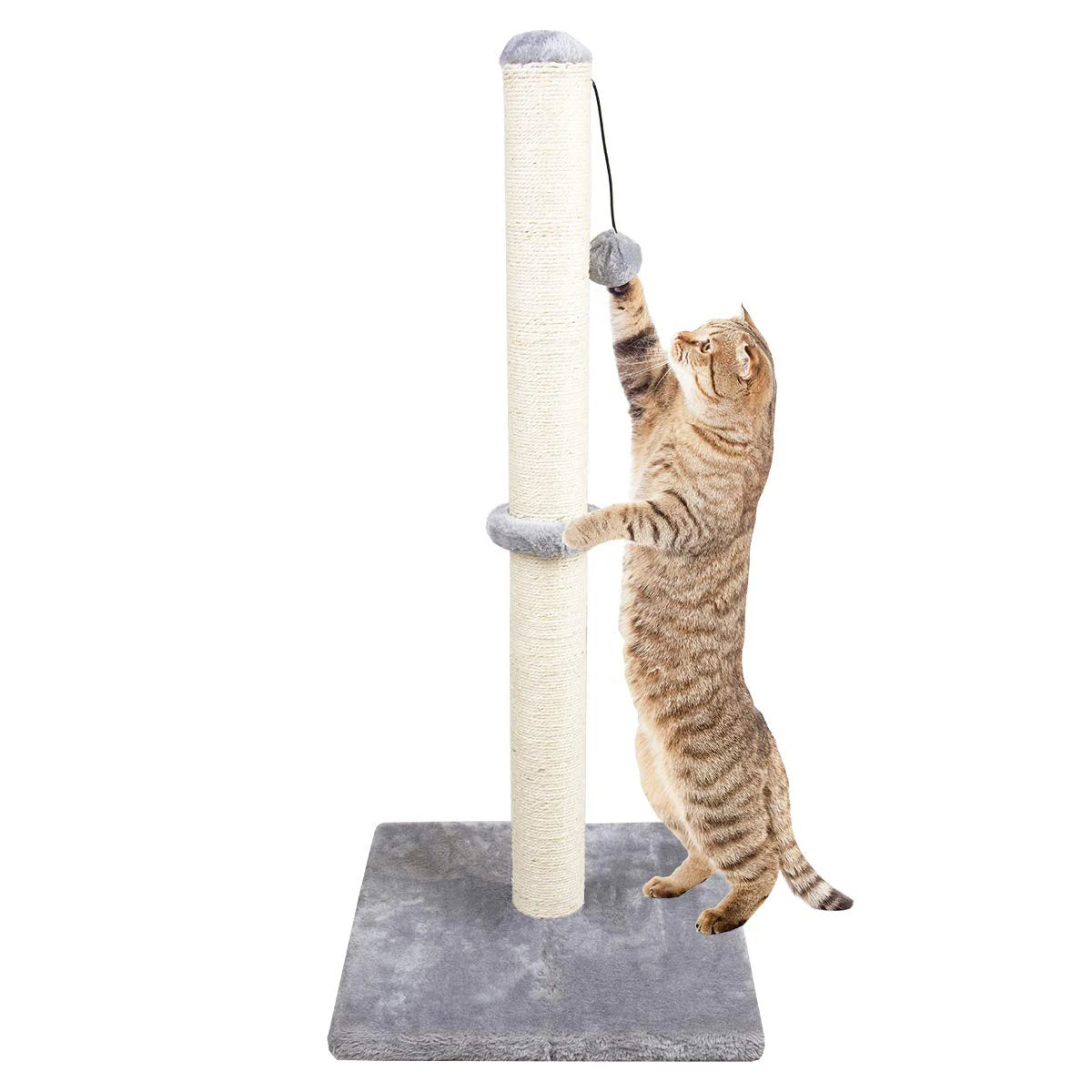 Tall Cat Scratching Posts For Indoor Cats And Kittens Cat Scratchers With Dangling Ball Vertical Scratcher With Premium Sisal