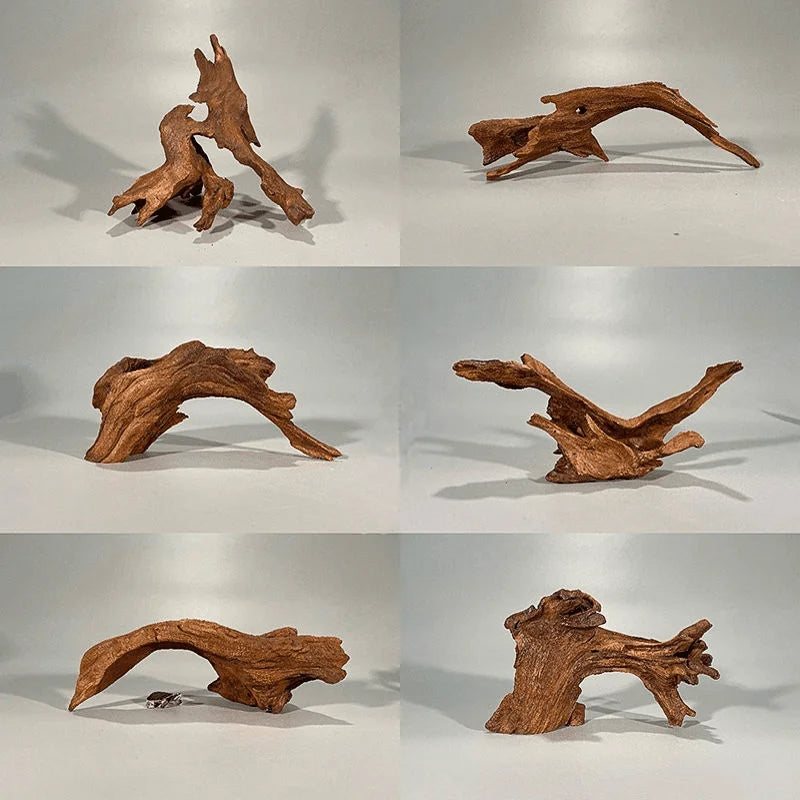Drift Wood fish tank decoration drift wood terrarium Plants for Natural wood Driftwood décor Aquariums Driftwood fish tank Branch