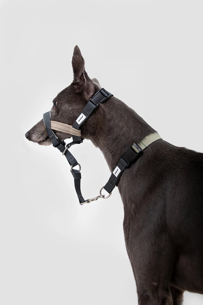 Dog Mouth Anti Barking Bark Collar Dog Adjustable Training Mesh Fabric Explosion-proof Flushing Control Traction Pet Supplies
