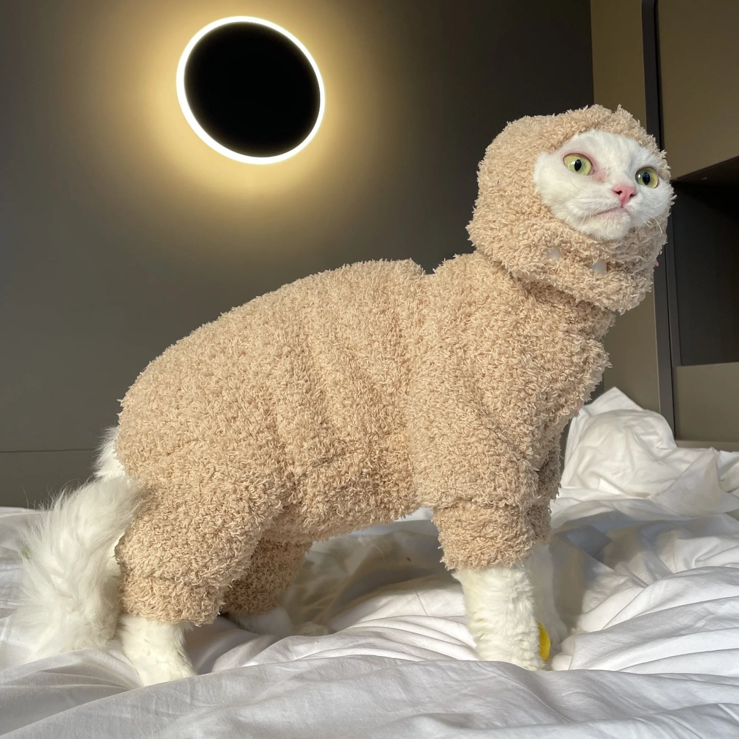 Winter Warm Plush 4-legged Sweatshirt Hat Suit for Devon Rex in Winter Soft Yellow Red Sweater for Sphynx Cat Kittens Khaki Coat