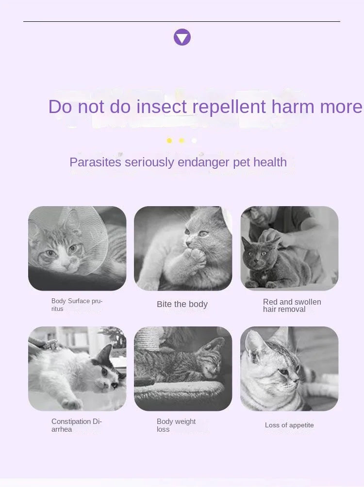 Pet deworming medicine for Cats and Dogs