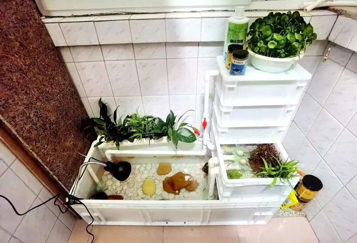 Tank-free fish tank swamp turtle tank raising turnover box filter mixed ecological tank changing water raising turtle box large
