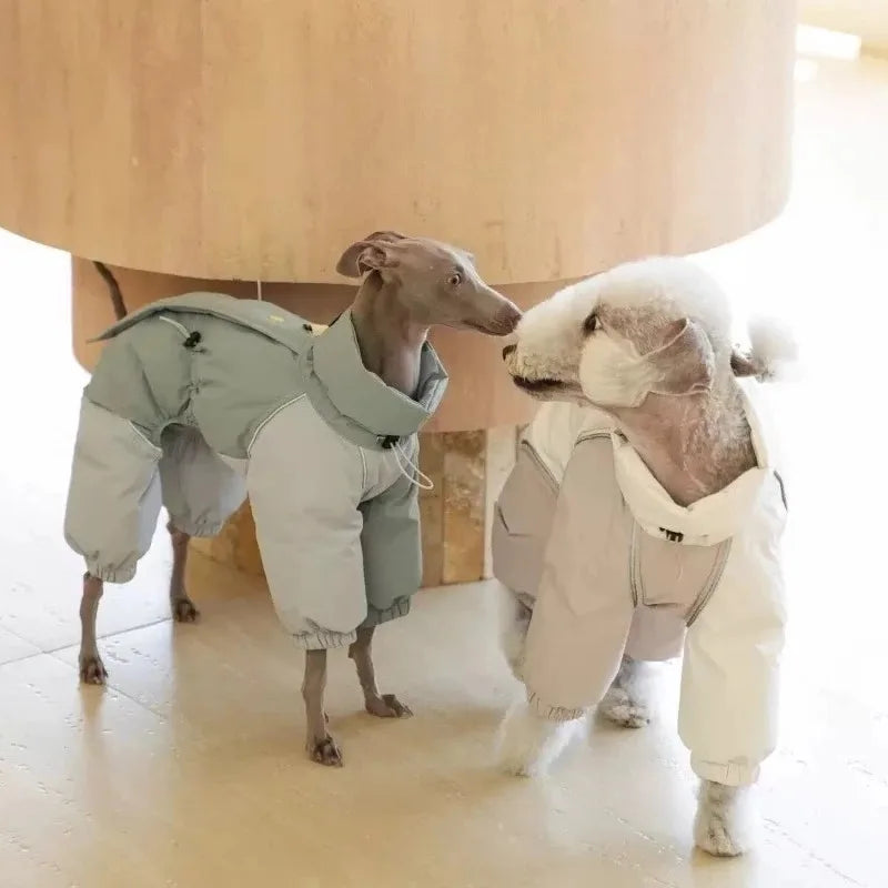 Lingtihuibit Turtleneck Cotton-padded Clothes Autumn Winter Pet Dogs High-necked Cotton Coat Fashion Dogs Warm Windproof Jacket