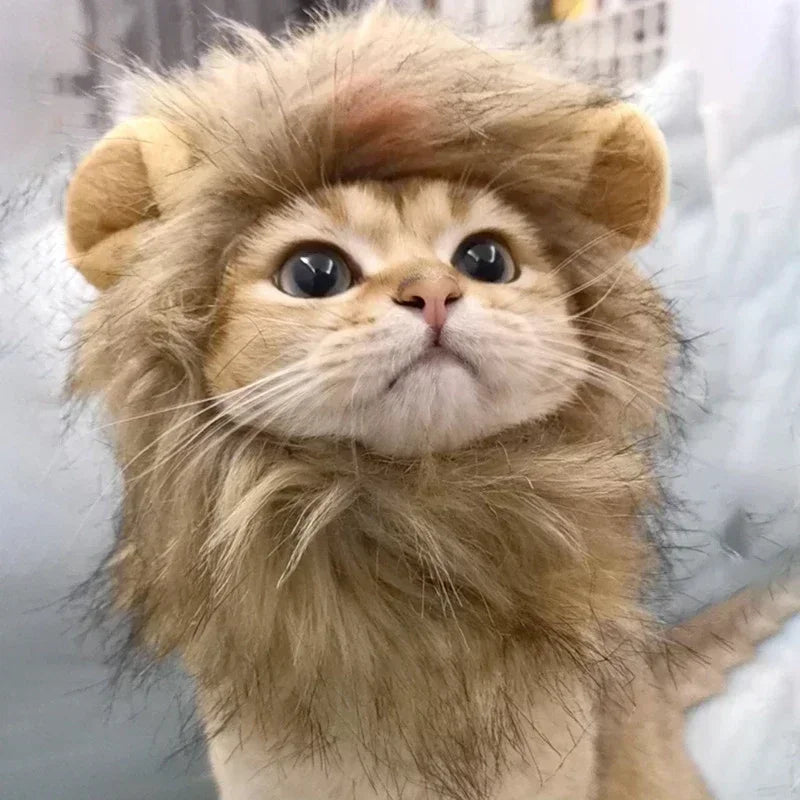 Cat Cosplay Dress Up Pet Hat Lion Mane for Cat Puppy Lion Wig Costume Party Decoration Halloween Christmas Cat Pet Supplies