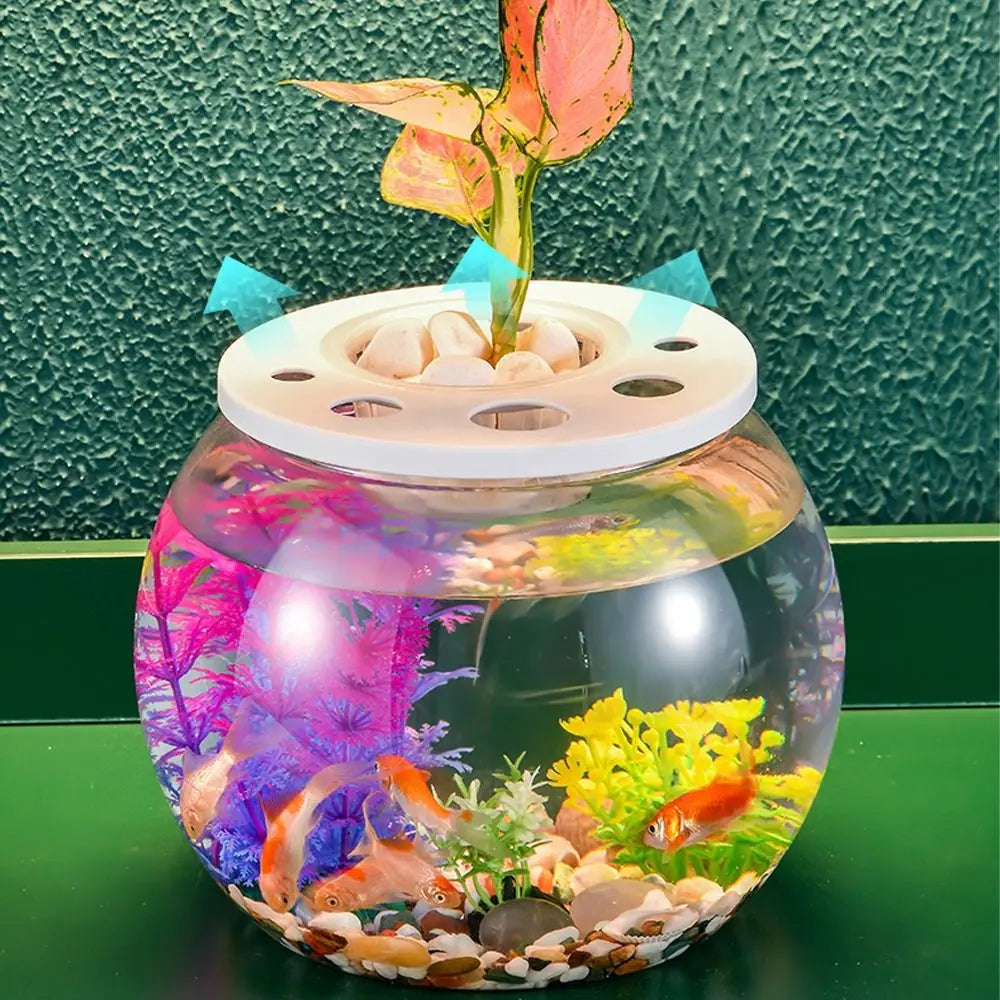 Miniature Landscape Transparent Small Clear Fish Tank Plastic Shatterproof Turtle Aquarium With Lid Goldfish Tank Home Decor