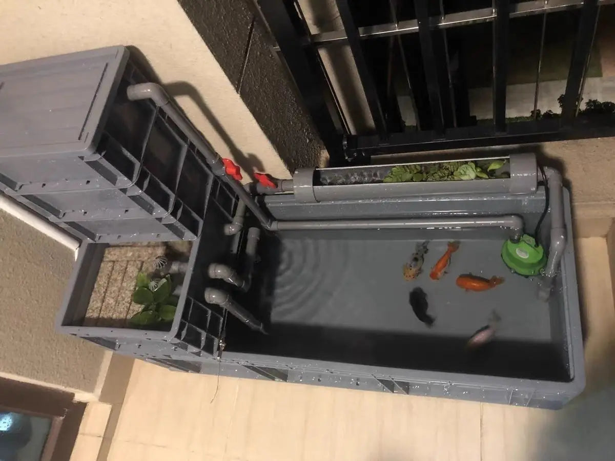Tank-free fish tank swamp turtle tank raising turnover box filter mixed ecological tank changing water raising turtle box large