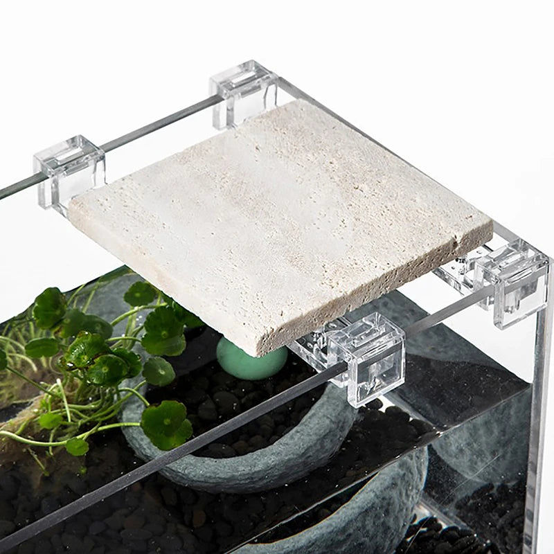 4Pcs Fish Tank Acrylic Clips for 5.5mm~15mm Wall Thickness Aquarium Lid Cover Support Holder Bracket Clamp Stand Supplies