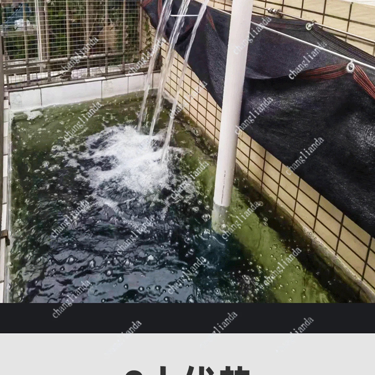 Fish Pond Water Treatment Machinery Micro Drum Filter Koi Pond Biological Filtration System Microfiltration Machine