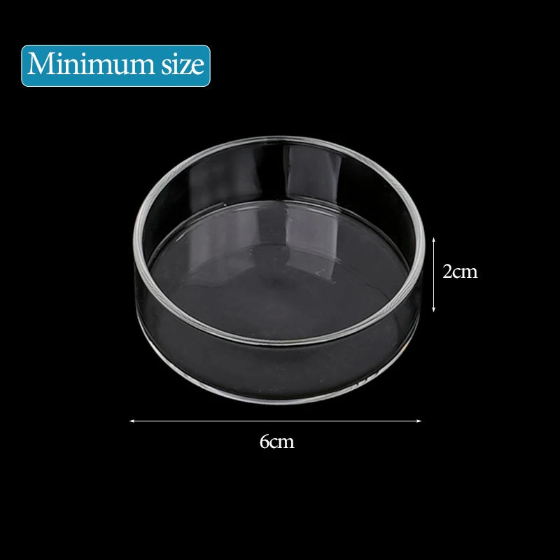 Aquarium Feeding Bowl Fish Tank Feeder Shrimp Tropical Fish Ratfish Glass Feeding Dish Clear Round Tray Reduce Food Scraps