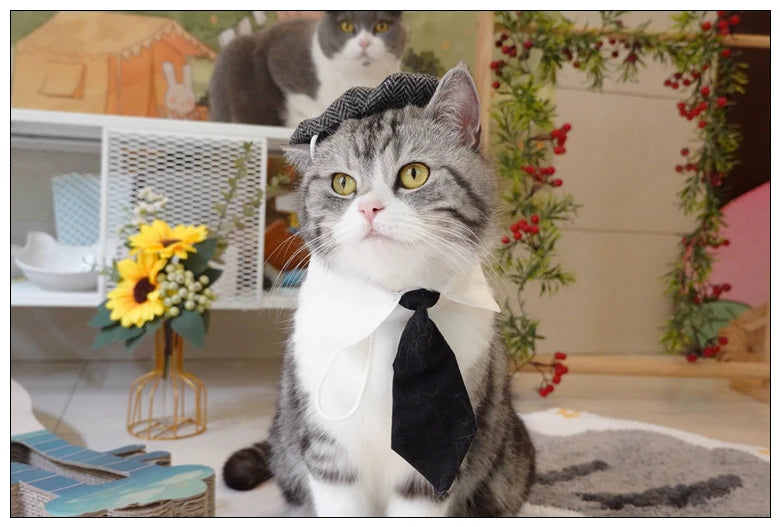 Funny Pet Cat Hat and tie Gentleman's Hat Beret Tie Bathing Blood Gangster Handsome Cosplay Photo Prop Pet Halloween Costume