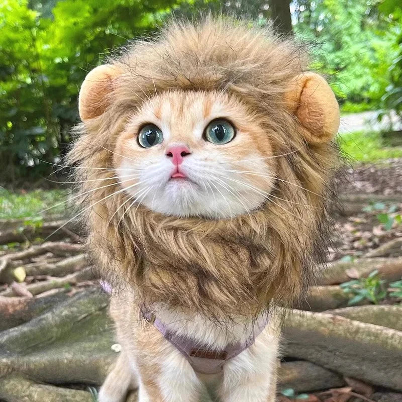 Cat Cosplay Dress Up Pet Hat Lion Mane for Cat Puppy Lion Wig Costume Party Decoration Halloween Christmas Cat Pet Supplies