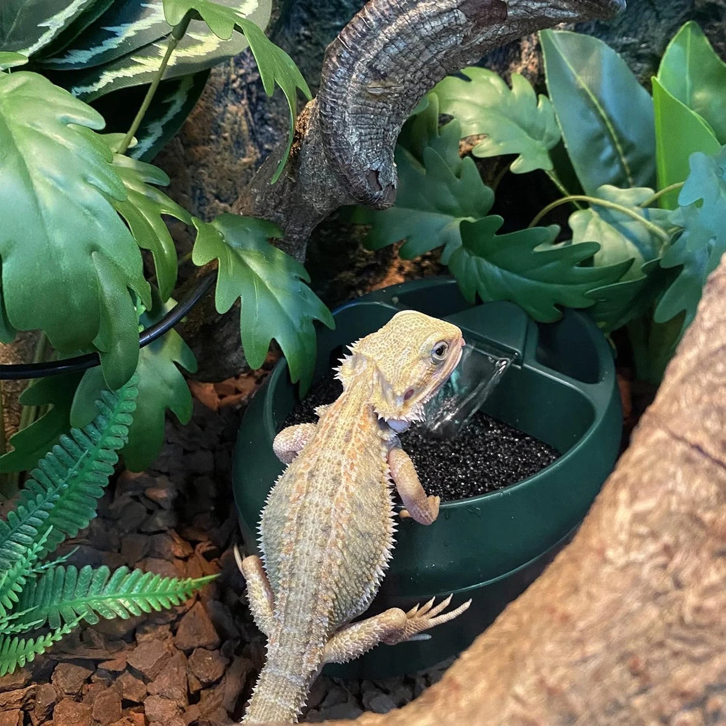 Drink Fountain Water Reptiles Drinking Waterfall Automatic Feeding Water Reptile Accessories for Tortoises Horned Frogs