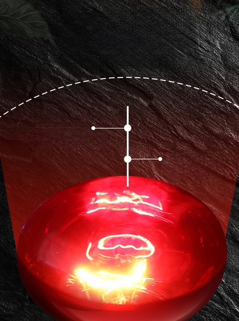 220V Reptile Heat Lamp Bulb Infrared Basking Spot Lamp Red Heat Lamp Bulbs Amphibian Gecko Lizard E27 Infrared Reptile Light