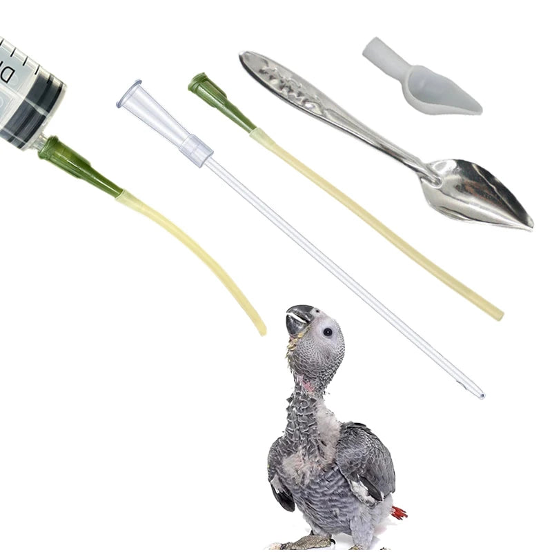 Bird Feeding Dropper Hose Small Pet Feeder Water Needle Tube Water Needle Tube Parrot Feeding Syringe Spoon Kits