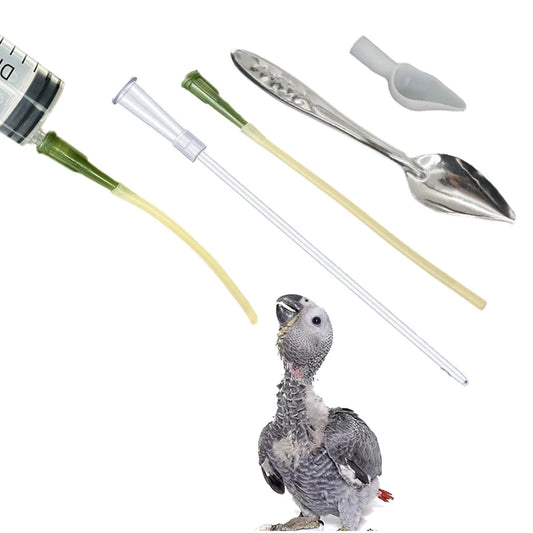 Bird Feeding Dropper Hose Small Pet Feeder Water Needle Tube Water Needle Tube Parrot Feeding Syringe Spoon Kits