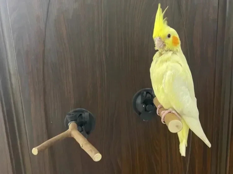 1pc-natural wood bird perch rod, parrot claw grinder rod, bird cage accessories, bird cage claw grinder bracket rod