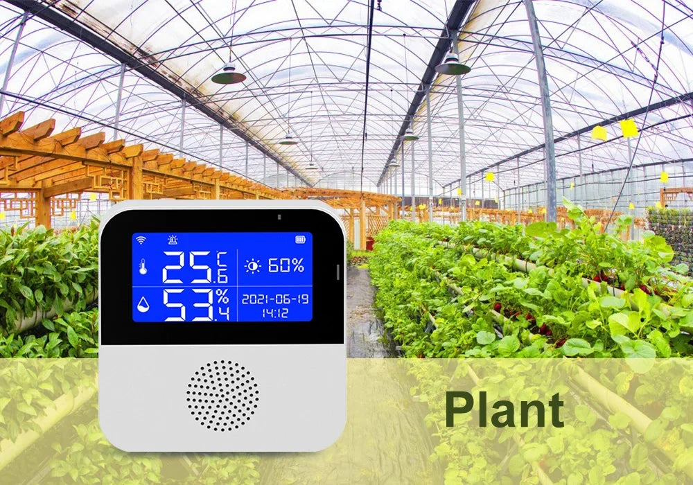 WiFi Tuya Smart Life LED Display Temperature Humidity Sensor Living Room Office Indoor Aquarium Water Temperature Detector Line