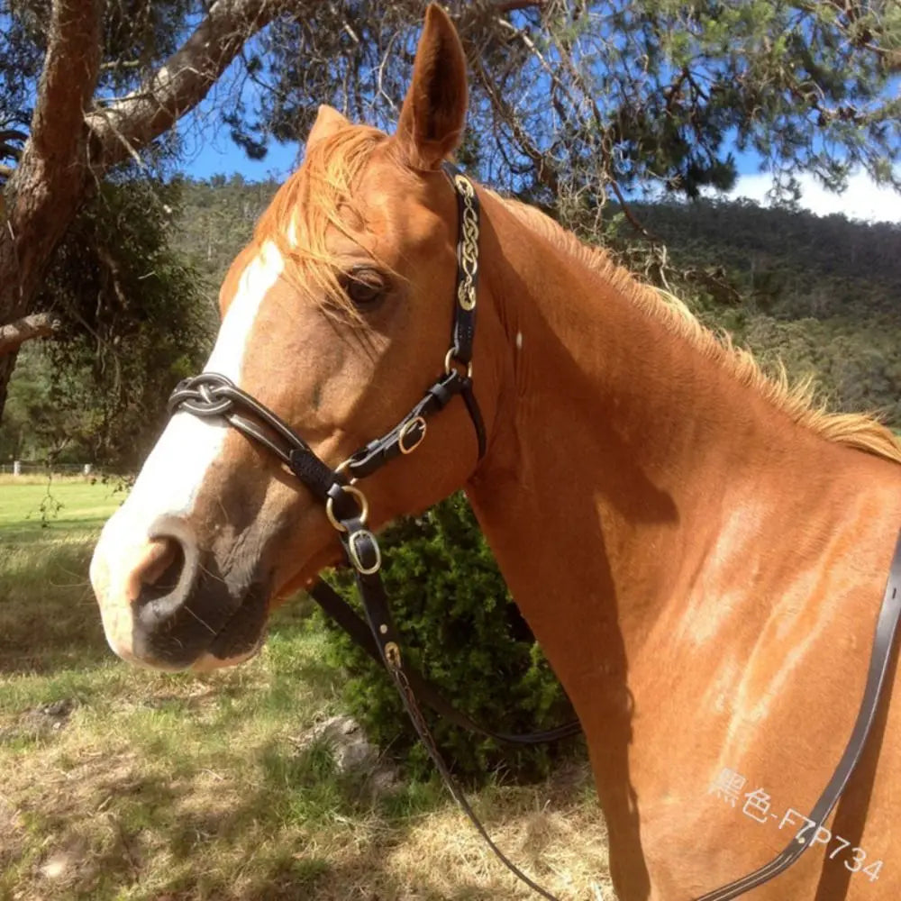 PU Leather Horses Bridle Halters Comfortable Metal Buckles Horse Reins Durable Adjustable Horse Head Stall