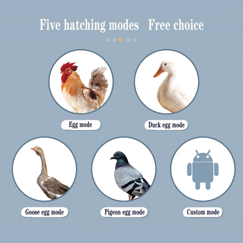 Intelligent Egg Incubator 6/9/12/15/24/36/48/56/64/98/120/128/152/176/192 Eggs for Ostrich Chicken Duck and other Birds