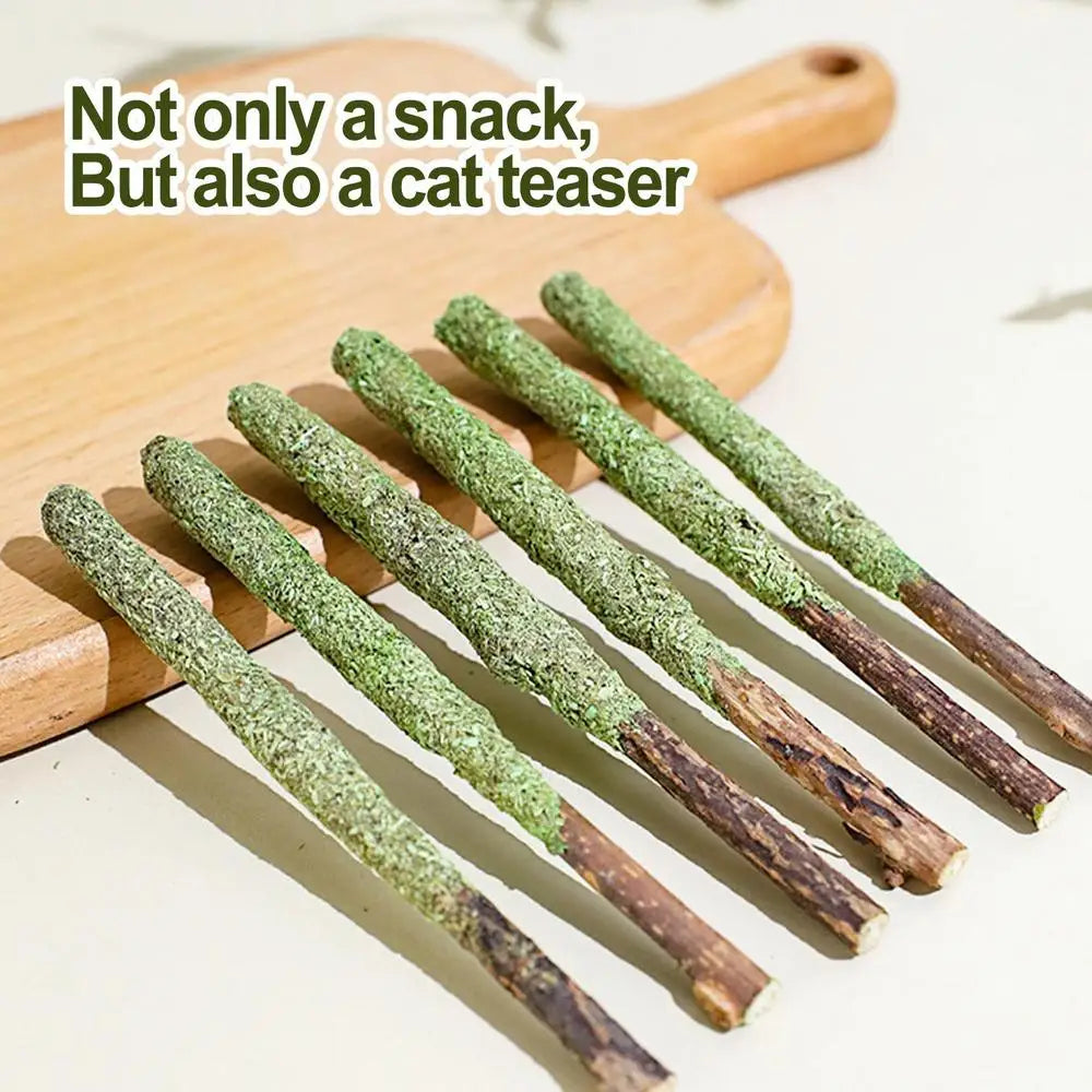 Natural Matatabi Cat Stick Mint Caught Bite Excited Rods Silvervine For Cat Teeth Cleaning Treating Pet Supply Cat Toys