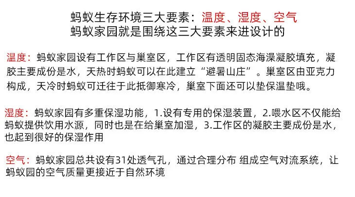 1PCS 3D Insect Acrylic For Ant Farm Observed Expansion Maze House Educational Decor Accessories Look into World Bug Box